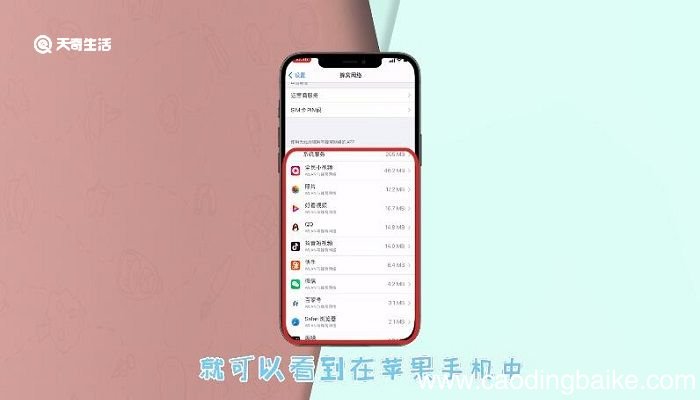 苹果怎么进入应用与数据 苹果怎么进入应用与数据界面