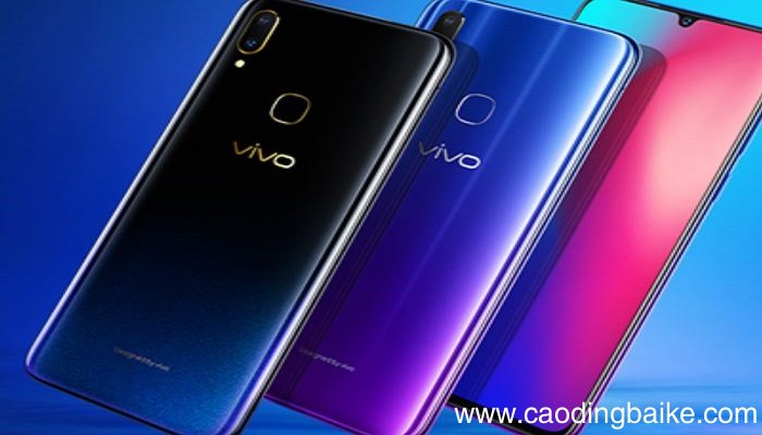 vivo应用加密密码忘了怎么办 vivo应用加密密码忘了咋办